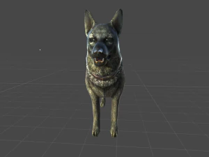 german shepherd 3D Model