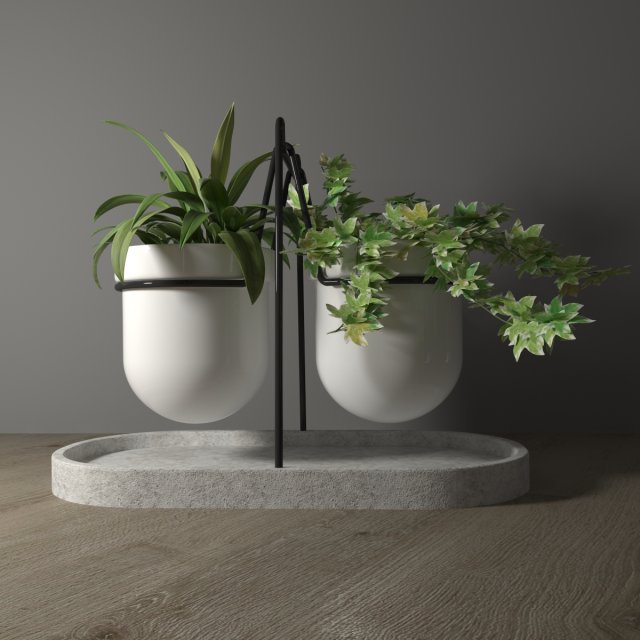 statera plant by georgia zanellato 3D मॉडल .c4d .max .obj .3ds .fbx .stl .blend 