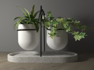 statera plant by georgia zanellato 3D Model