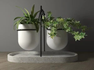 planta statera por georgia zanellato Modelo 3D