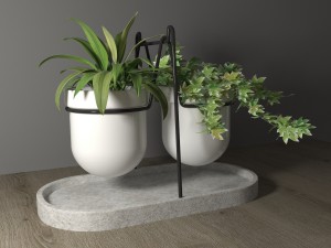 statera plant by georgia zanellato 3D मॉडल