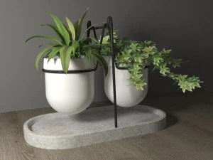 statera plant by georgia zanellato 3D Model