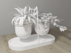 statera plant by georgia zanellato 3D Model