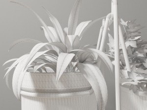 statera plant by georgia zanellato 3D मॉडल