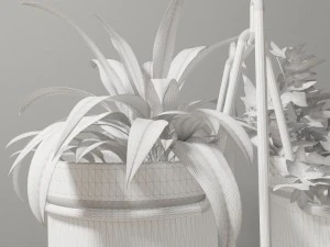 statera plant by georgia zanellato 3D Model