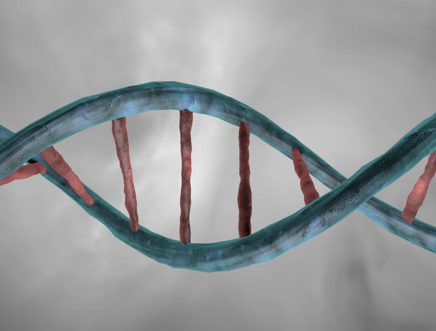 dna double helix 3D Model .c4d .max .obj .3ds .fbx .stl .blend
