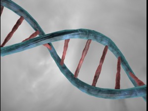 dna double helix 3D मॉडल