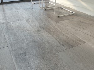 ariana legend brown grey sand Modèle 3D