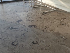 turex international marble tiles set 34 Modello 3D