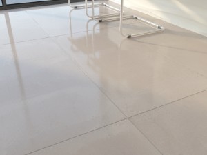 ariana concrea silver bone set 04 3D Модель