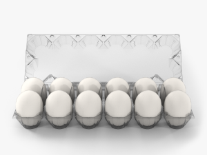 clear plastic dozen egg tray 3D Model