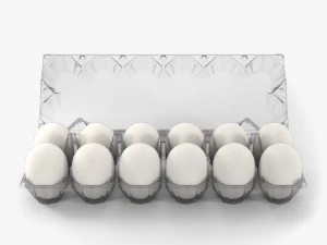 bandeja de ovos de pl&aacute;stico transparente Modelo 3D