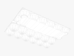 clear plastic dozen egg tray 3D Модель