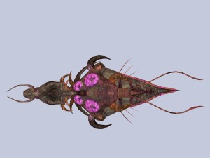spaceship lev 3D Model