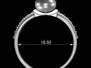 Ring pearl 3D Print Model