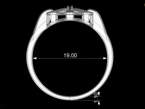White gold ring 3D Print Model