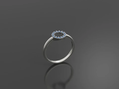 Kreisring 3D Druckmodell