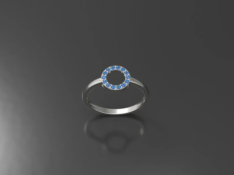 Kreisring 3D Druckmodell