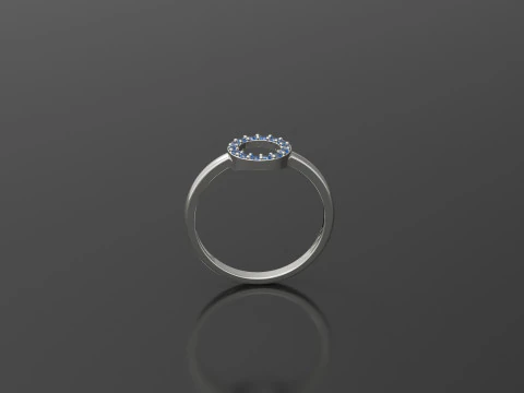 Kreisring 3D Druckmodell