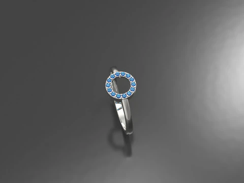 Kreisring 3D Druckmodell