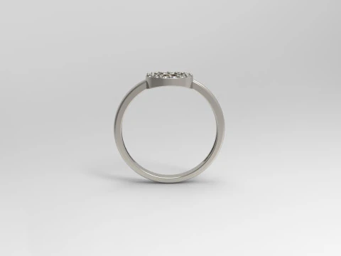 Kreisring 3D Druckmodell