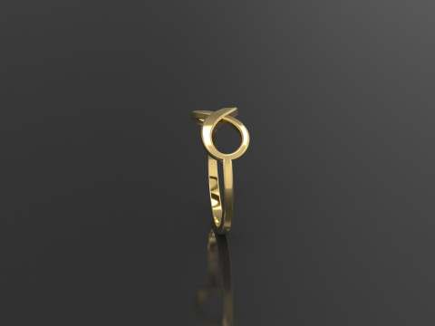 Infinity Ring 3D 打印模型