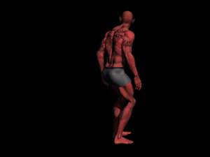 英雄の男 3Dモデル