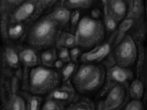 plantilla de piel de reptil Texturas CG