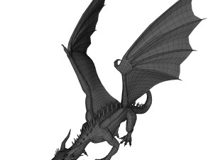 dragon Model 3D