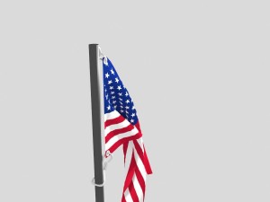 flag usa 3D 模型