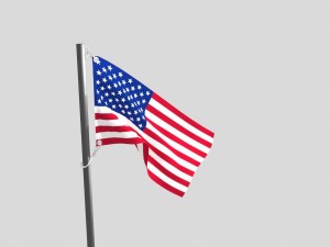 flag usa 3D 模型