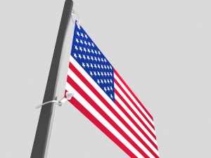 flag usa 3D 模型