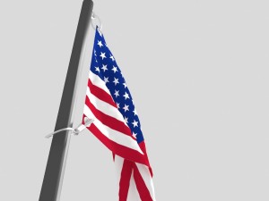 flag usa 3D 模型