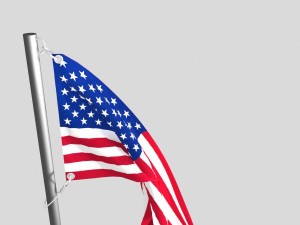 flag usa 3D 模型