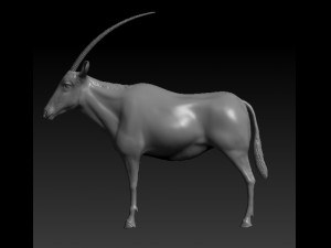 orix 3D Model