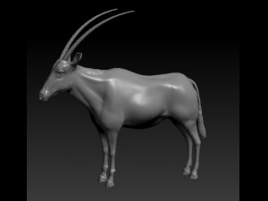 orix 3D Model