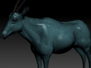 orix 3D Model