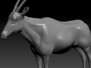 orix 3D Model