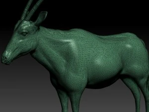 orix 3D Model
