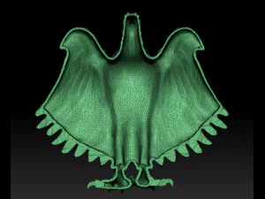 eagle 3D Print Model