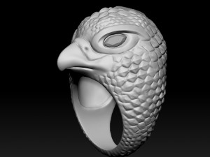 hawk ring Modelo de impresión 3D