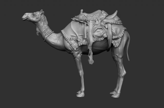 ARABIAN CAMEL 3D Модель .c4d .max .obj .3ds .fbx .stl .blend 