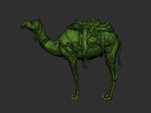 ARABIAN CAMEL 3D Модель