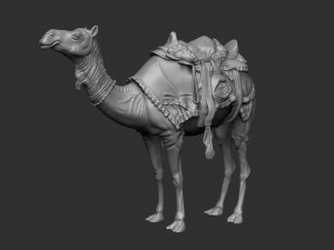 ARABIAN CAMEL 3D Модель