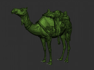 ARABIAN CAMEL 3D Модель
