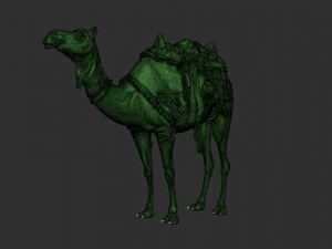 ARABIAN CAMEL 3D Модель