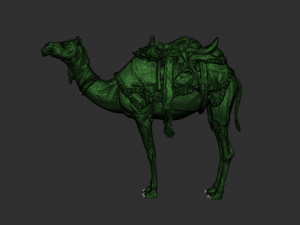 ARABIAN CAMEL 3D Модель