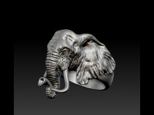 Elephant Ring Modelo de impresión 3D