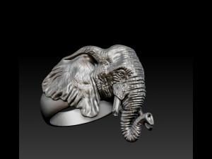 Elephant Ring Modelo de Impressão 3D
