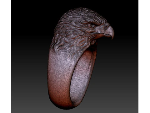 Eagle Ring 3D Print Model